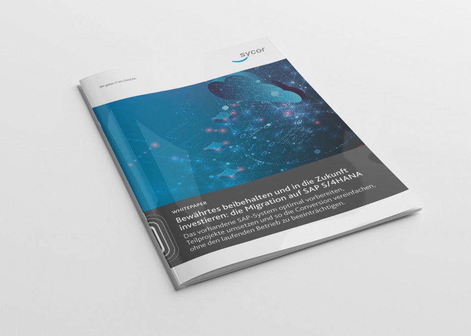 mockup whitepaper sap s4hana migration 9 ERP Scout