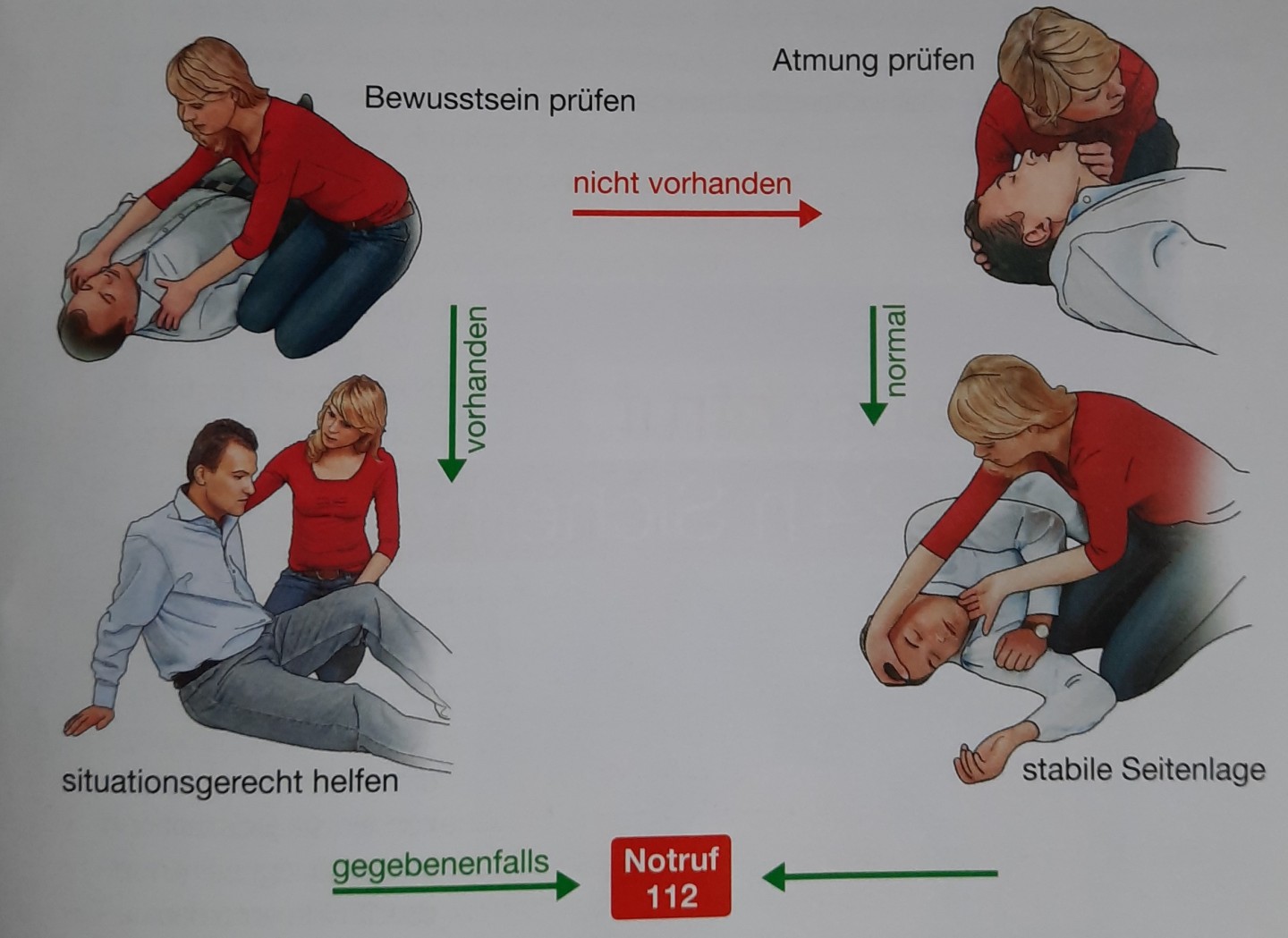 Quelle: Knickmann, A. (2019). Einfach. Effektiv. Erste Hilfe. Das Handbuch für alle Rotkreuzkurse. DRK-Service GmbH, Berliner Str. 83, 13189 Berlin.