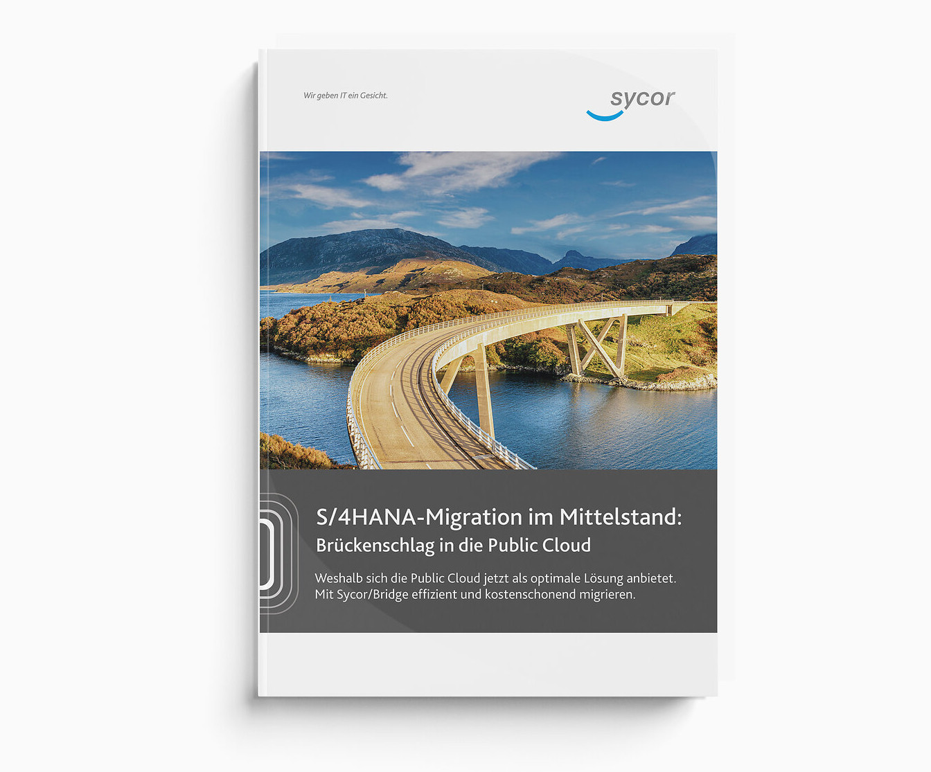 Whitepaper: S/4HANA-Migration mit Sycor/Bridge