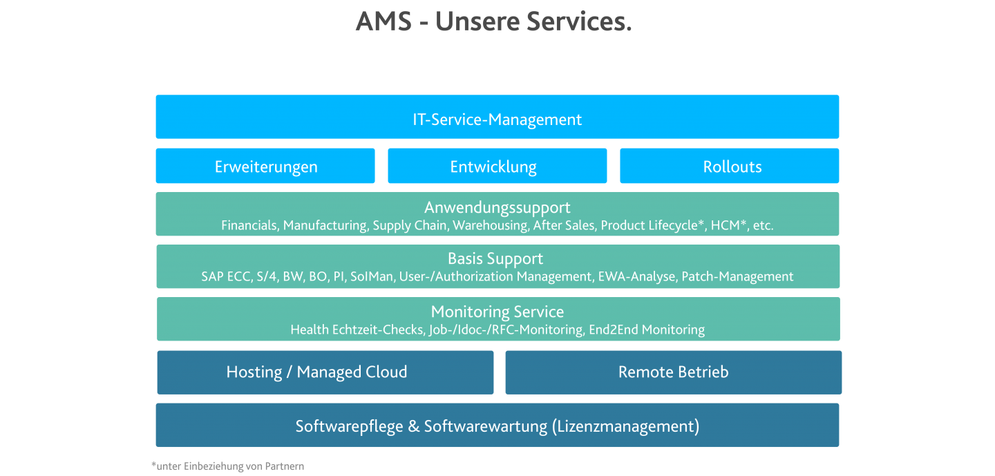 SAP Application Management Support (AMS)