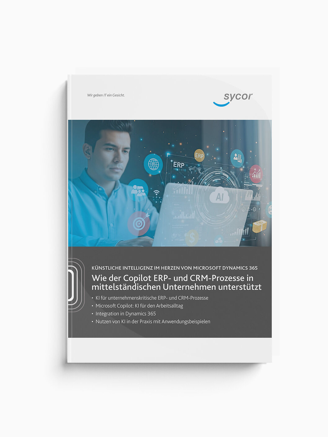 Whitepaper ERP Einführung