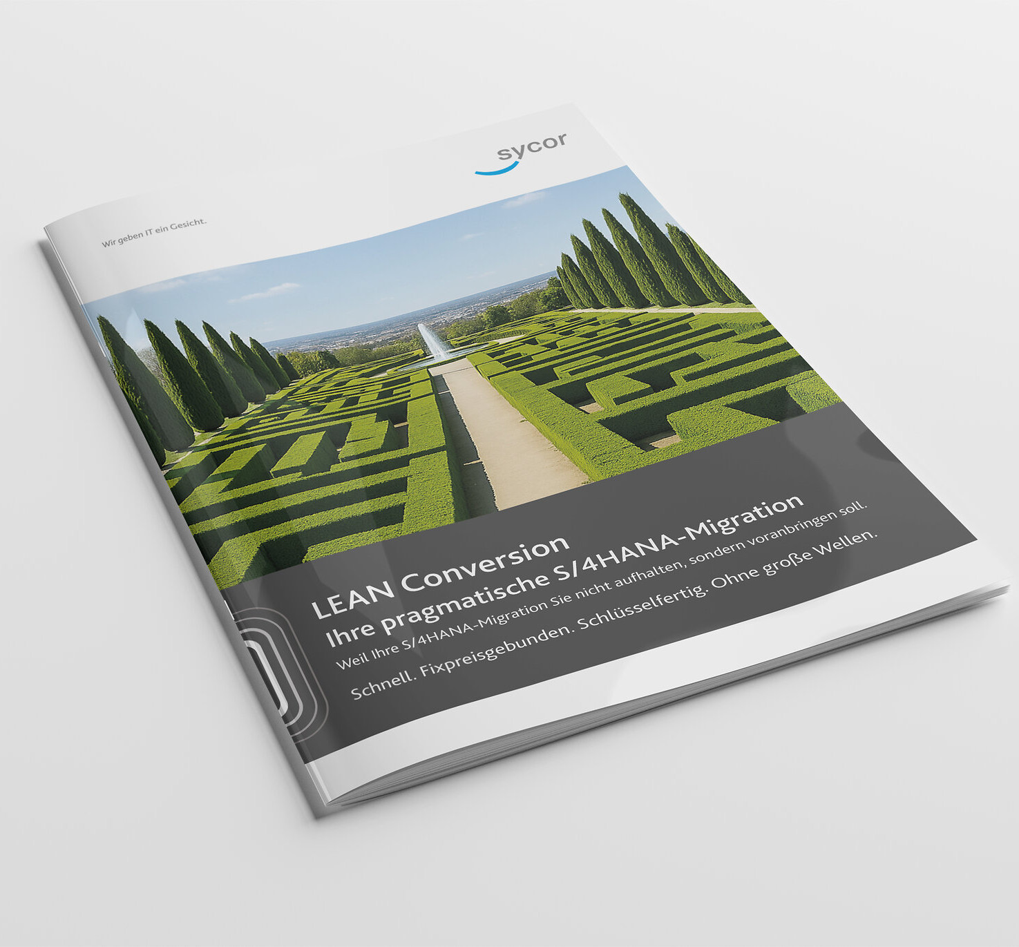 Whitepaper: LEAN Conversion – Ihre pragmatische S/4HANA-Migration