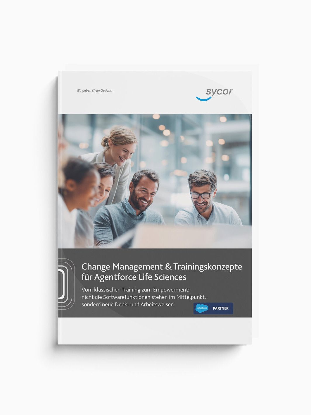 Whitepaper ERP Einführung