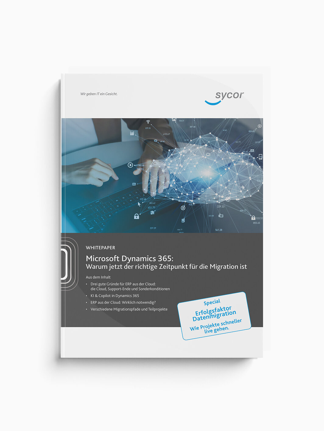 Whitepaper: Microsoft Dynamics ERP