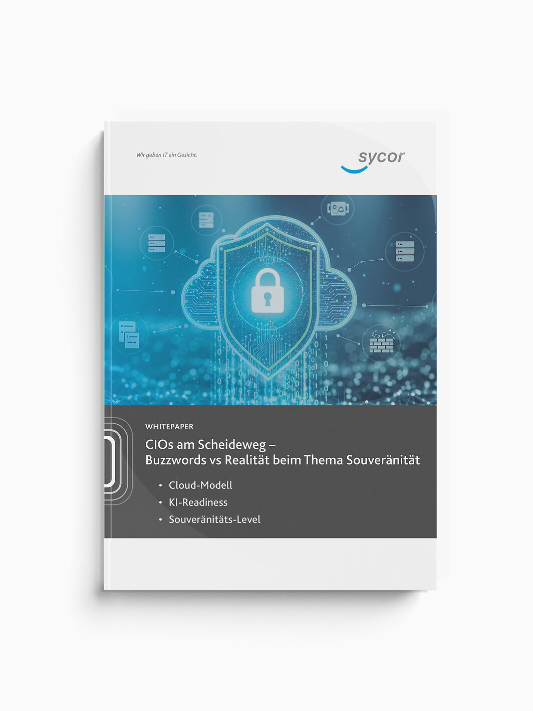 Whitepaper ERP Einführung