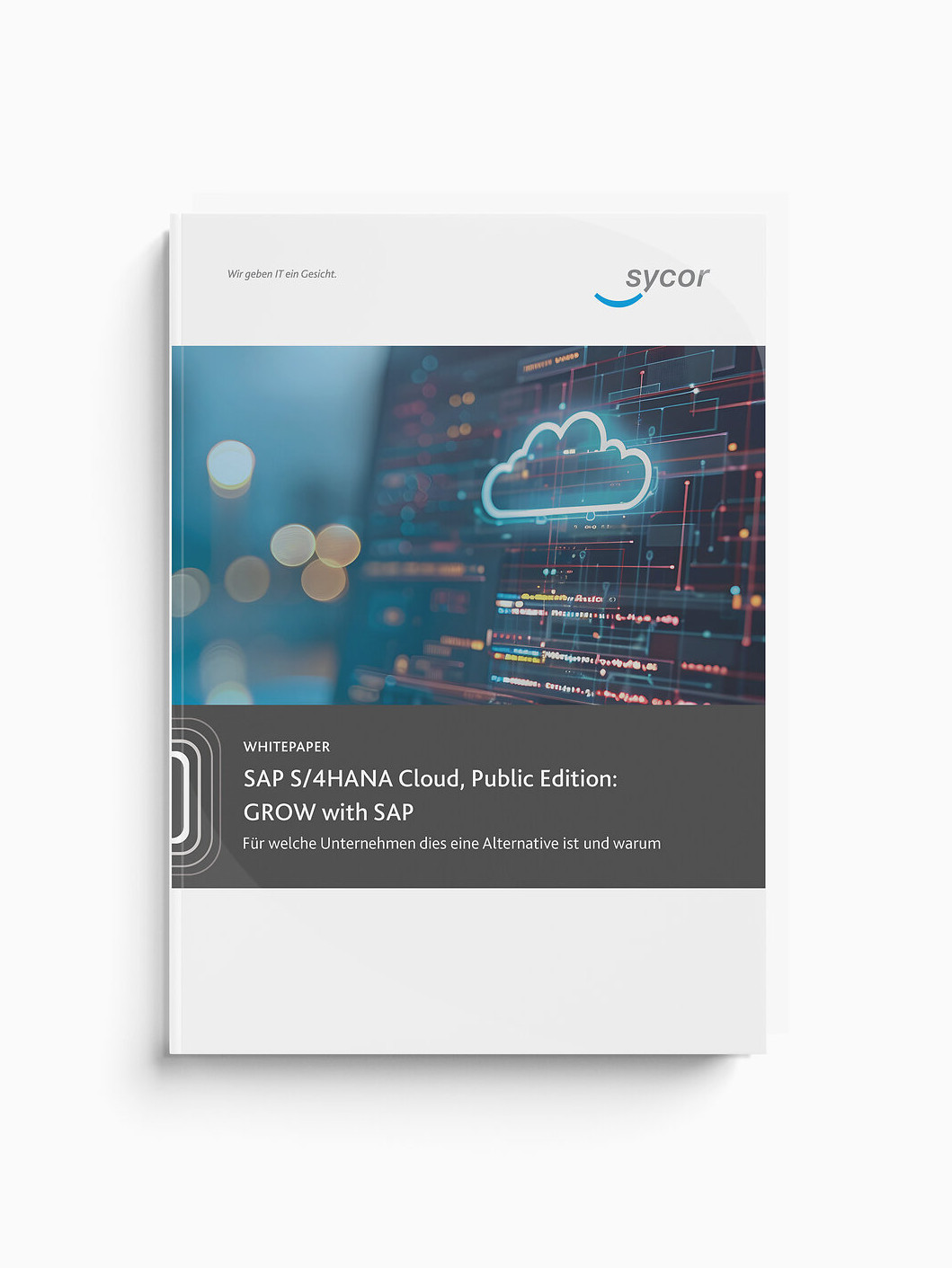 Whitepaper ERP Einführung