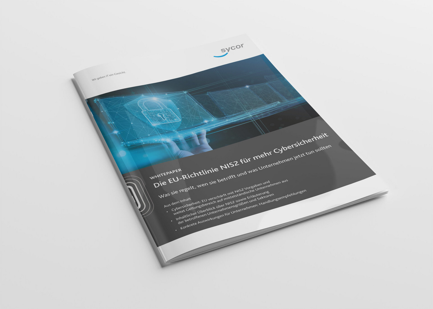 Cyber Resilienz Whitepaper