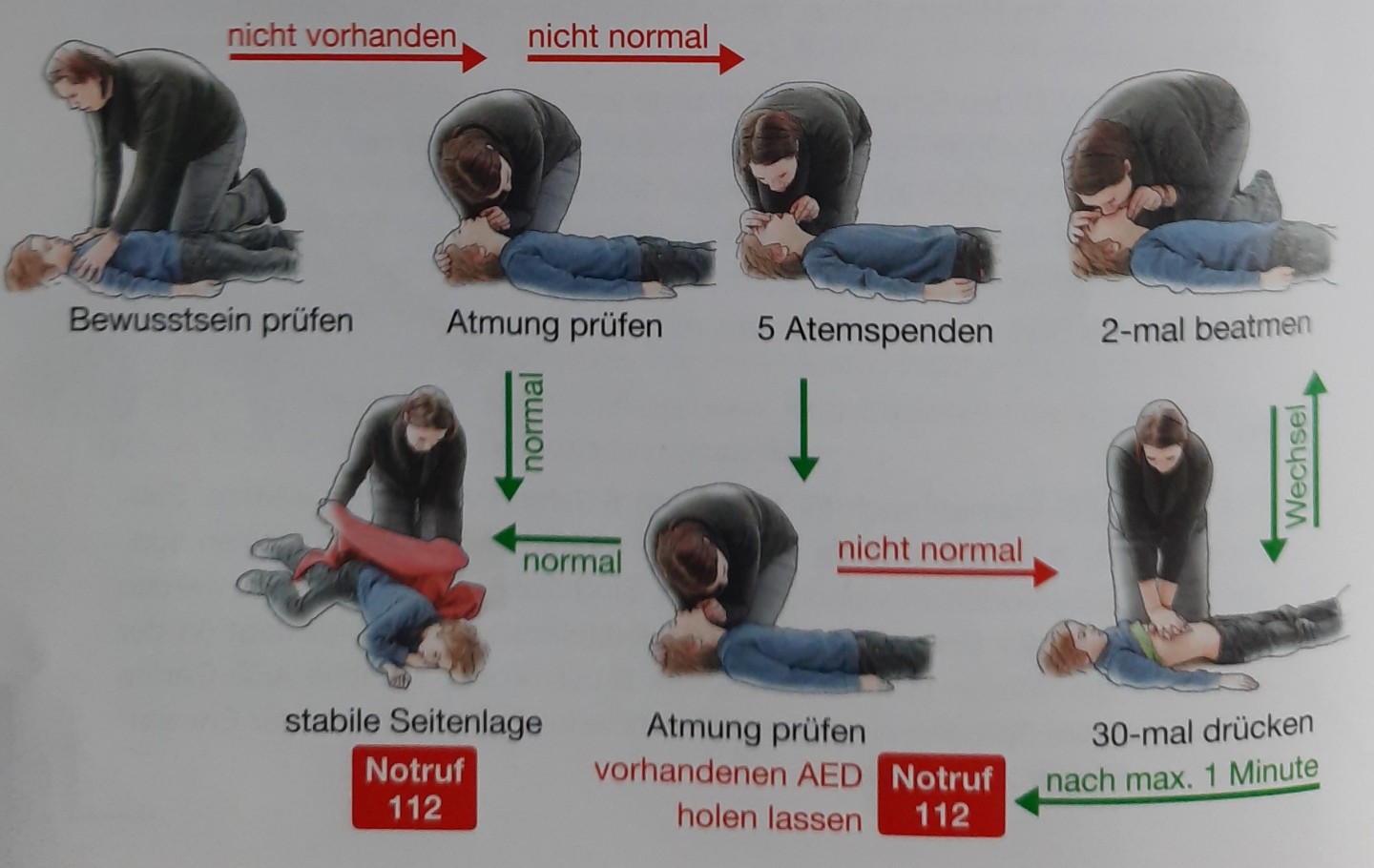 Source: Knickmann, A. (2019). Einfach. Effektiv. Erste Hilfe. Das Handbuch für alle Rotkreuzkurse. DRK-Service GmbH, Berliner Str. 83, 13189 Berlin.